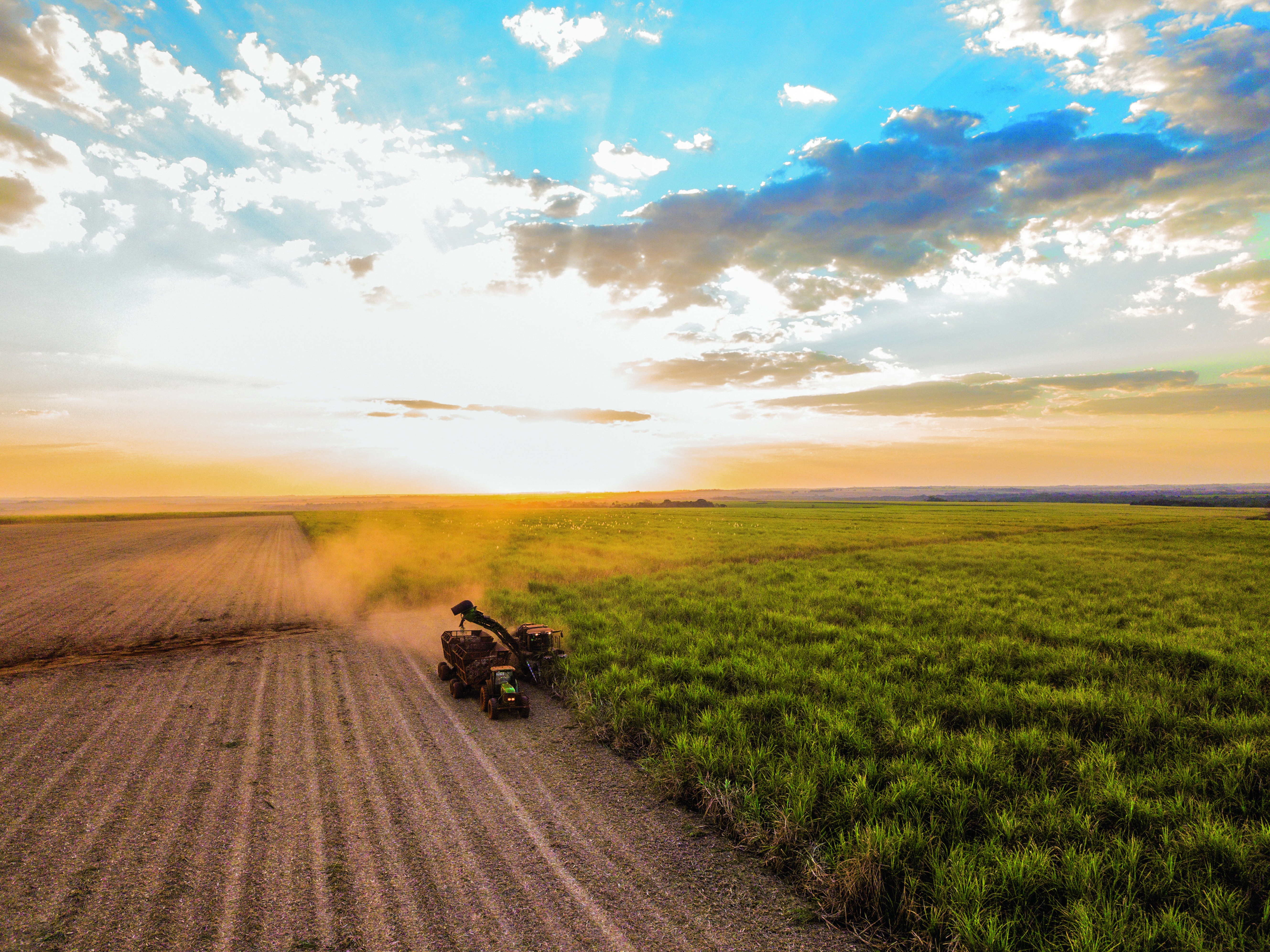 Agrícolas voltam a registrar alta em NY com receios sobre El Niño - QTU Questões do Universo