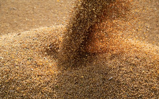 Soja e milho sobem em Chicago após forte alta do petróleo