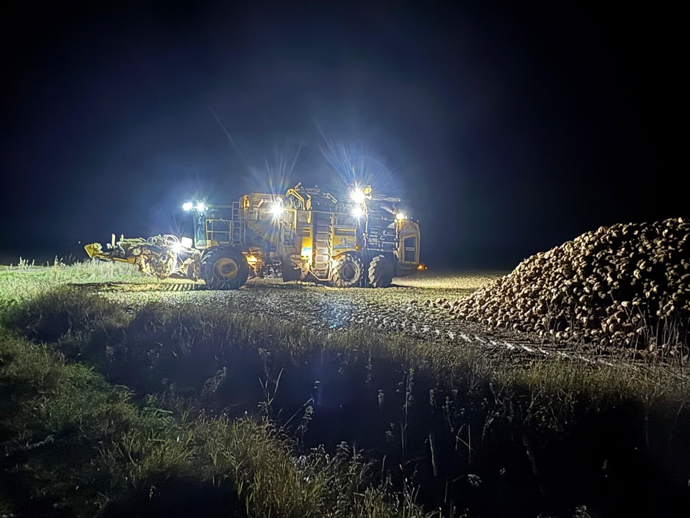 O ritmo é puxado, com turnos de 12 horas divididos entre madrugada e dia — Foto: Daniel Azevedo Duarte