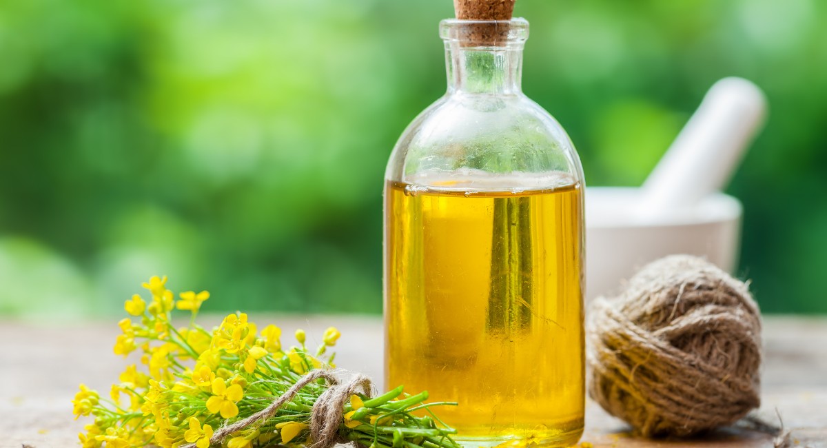 3tentos aposta em variedade de canola australiana