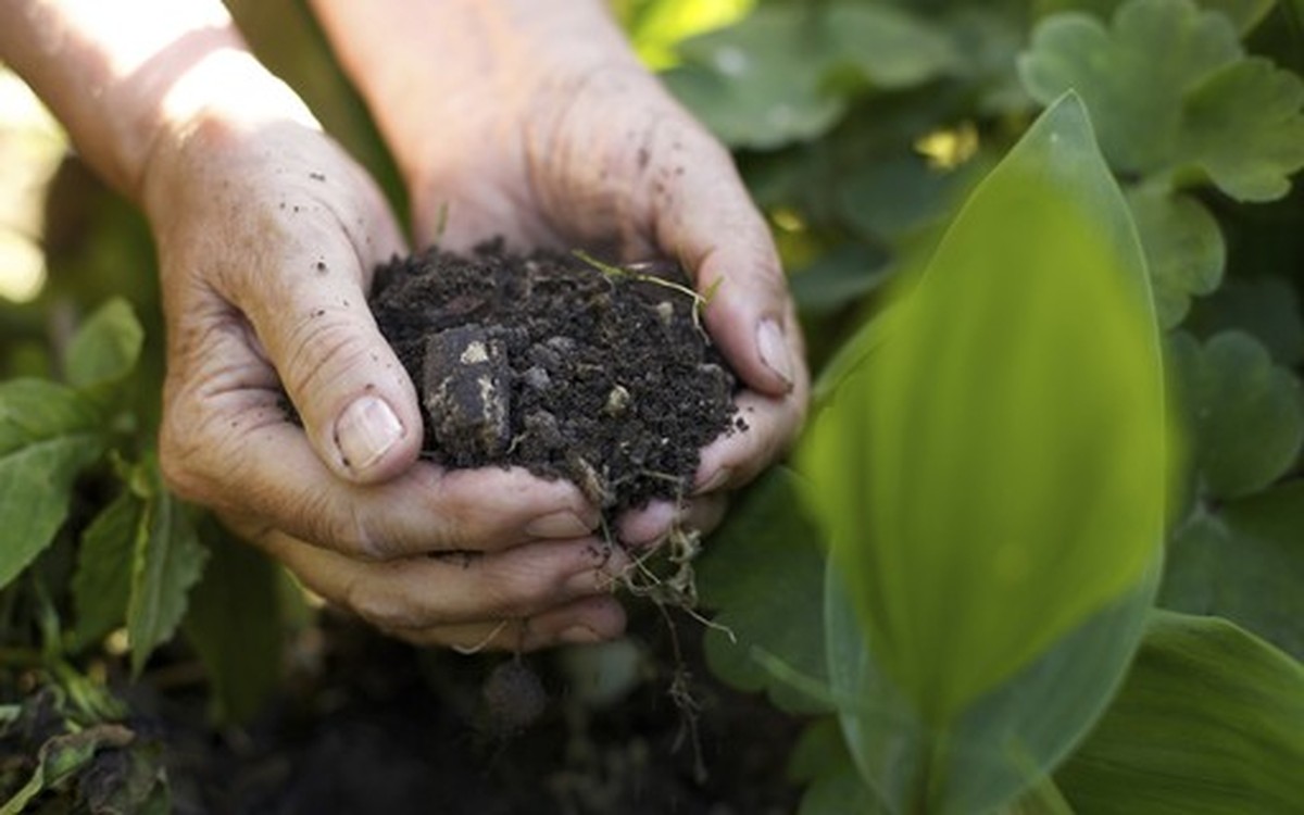Epamig lança informe agropecuário de bioinsumos