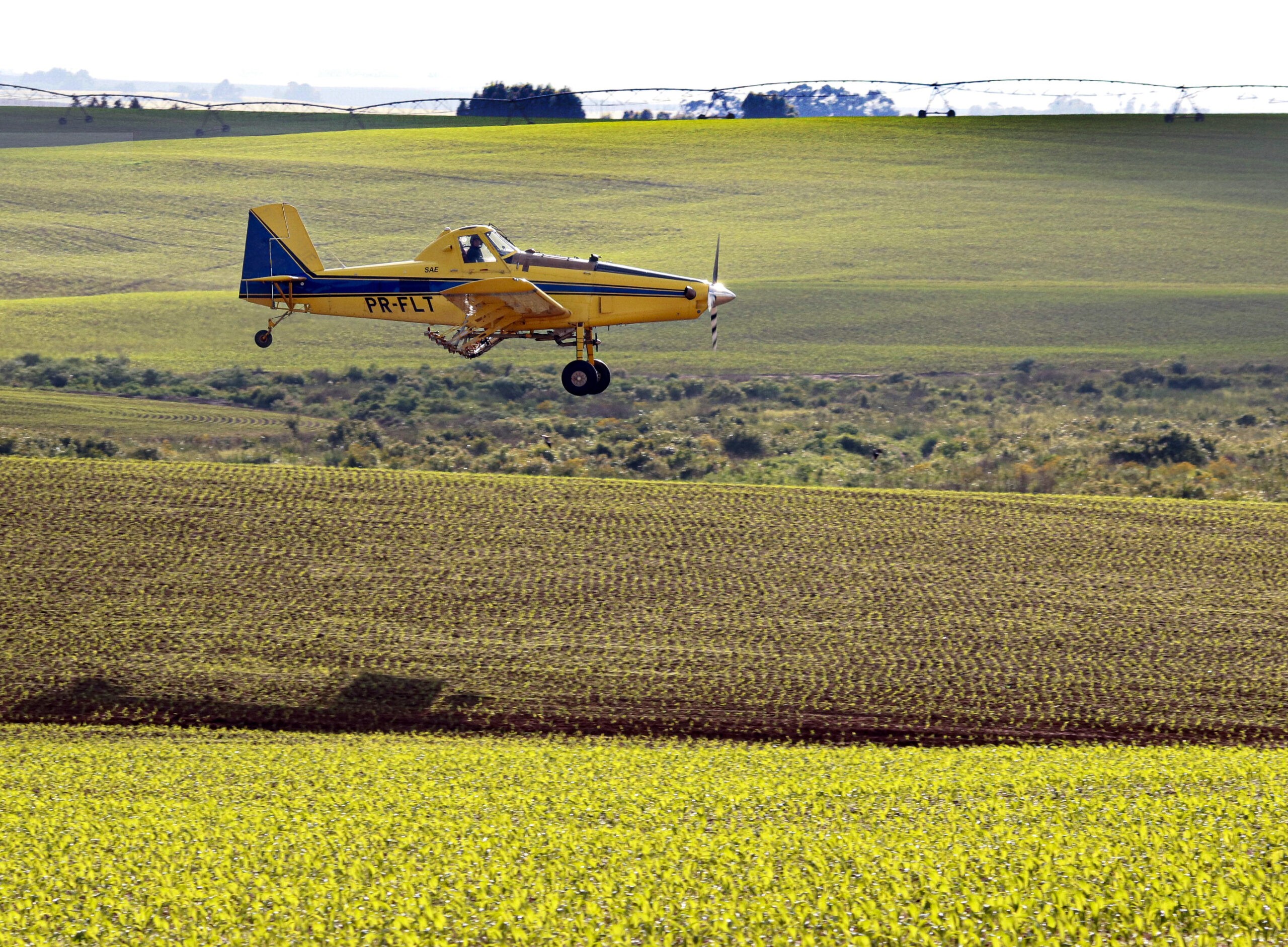 Frota de aviões agrícolas cresce 5% no Brasil e ganha primeiro modelo autônomo