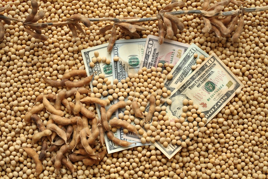 grãos-soja-dólar-dolar-dinheiro