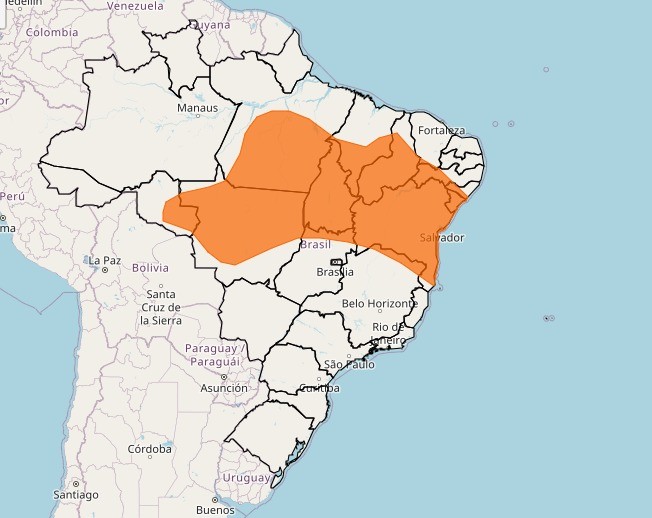 Alerta laranja: diferentes Estados têm aviso de ‘perigo’ para chuvas intensas