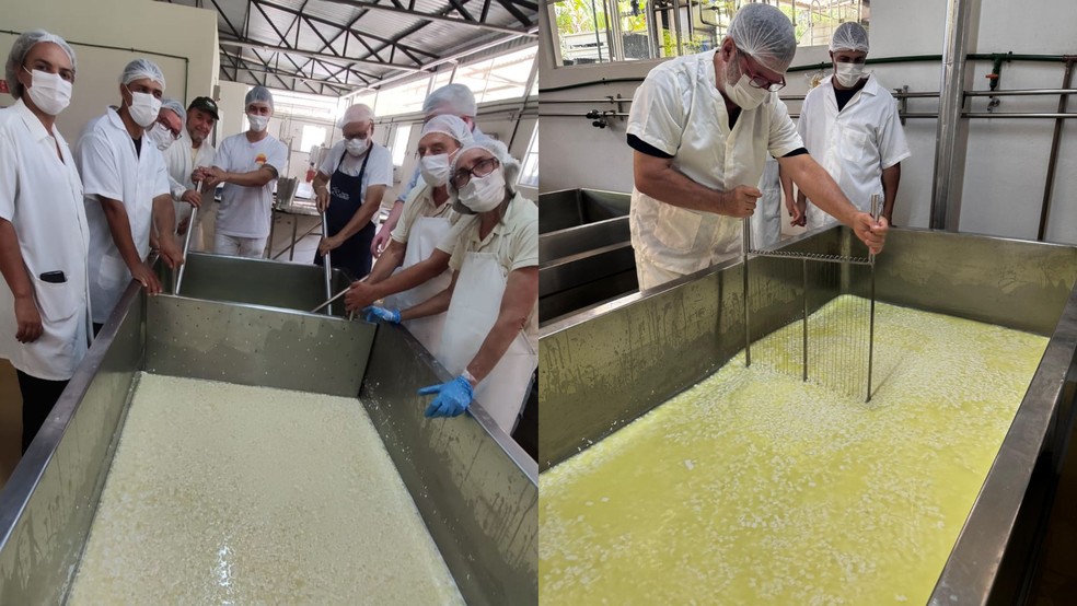 Maior queijo prato do mundo — Foto: Divulgação/Associação dos Queijeiros de Valença (AQV)