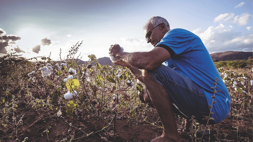 O produtor Reno Pinheiro: testemunha do declínio da cultura na década de 1980, ele retomou o cultivo no sertão do Rio Grande do Norte — Foto: Arquivo Pessoal