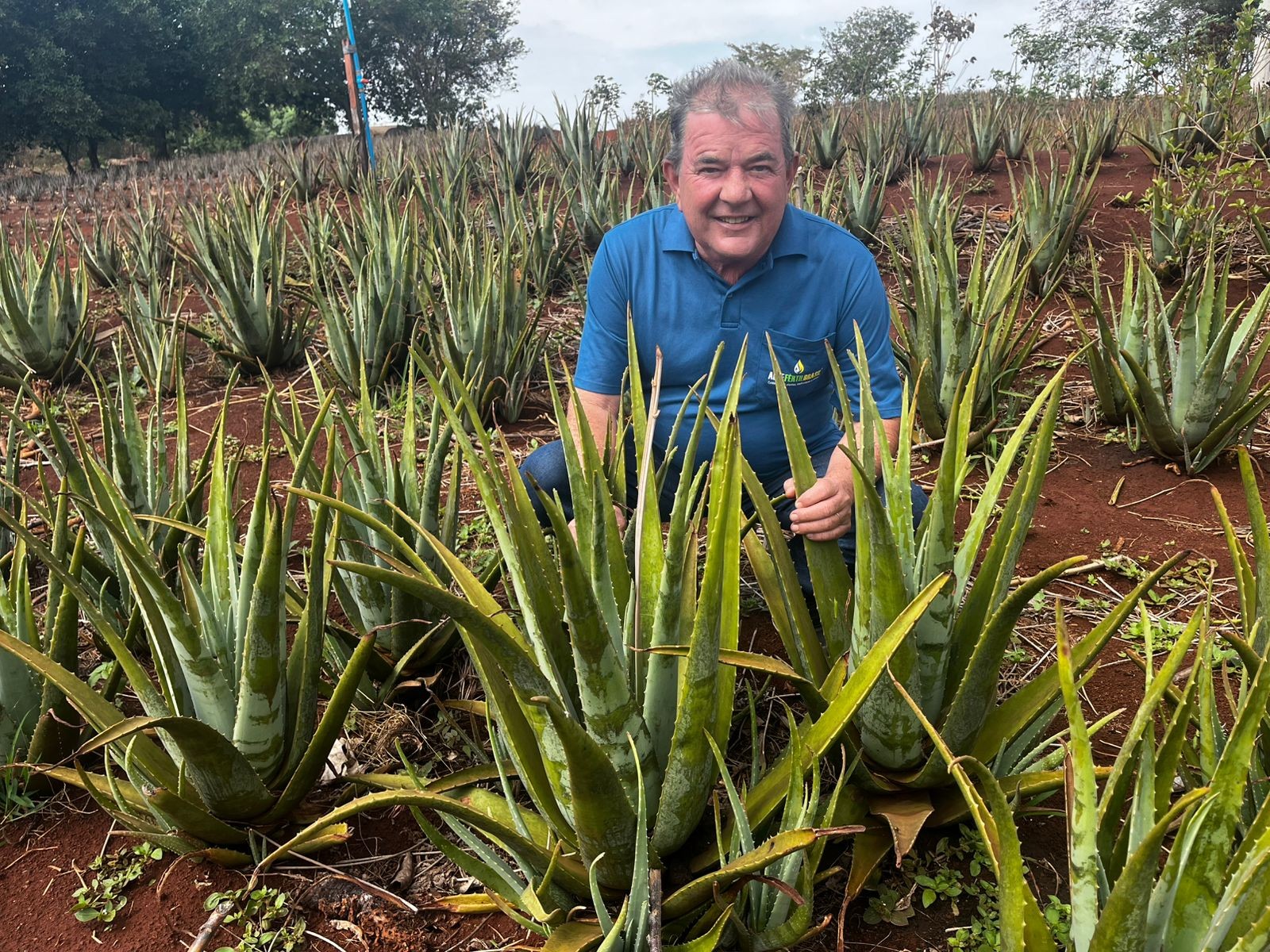 ‘Rei da babosa’ transforma gel de xampu em adubo orgânico