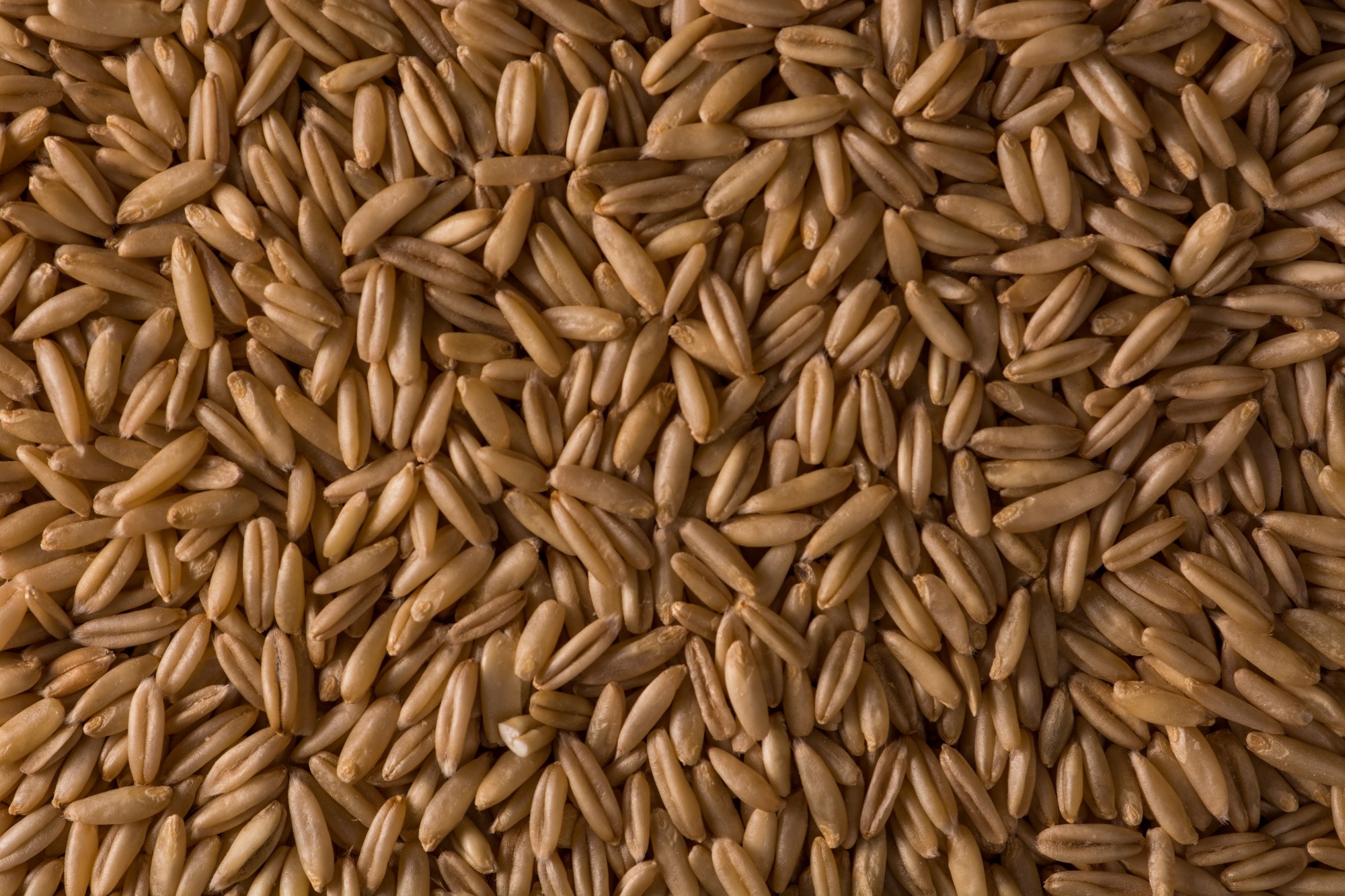 Soja e milho caem na bolsa de Chicago; trigo sobe