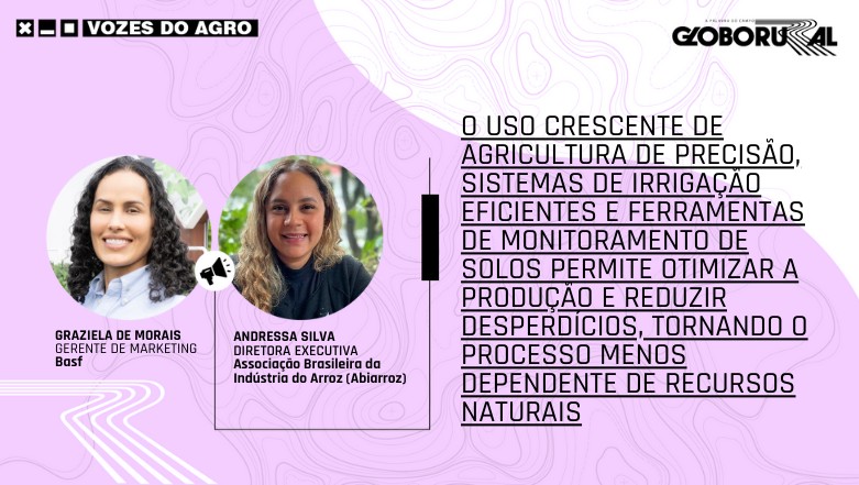 Arroz brasileiro: transformando desafios em oportunidades