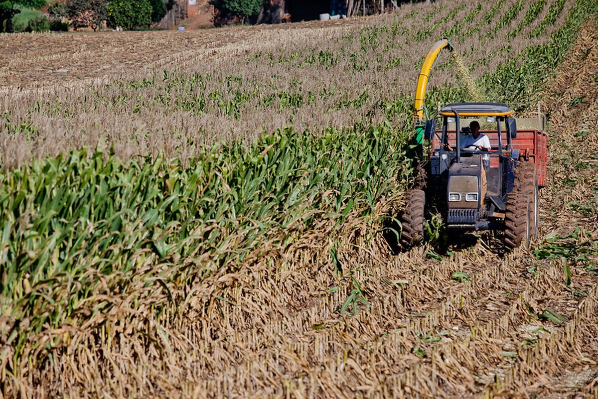 Confira 20 ações de apoio à agricultura familiar anunciadas pelo governo federal