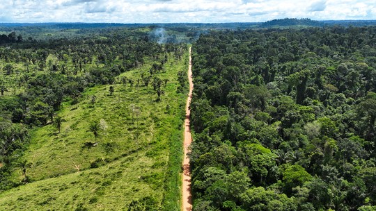 Brasil e outros 16 países enviam carta à OMC sobre política de desmatamento da Europa
