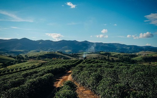 Cumprimento do Código Florestal evitaria a perda de 32 milhões de hectares de vegetação