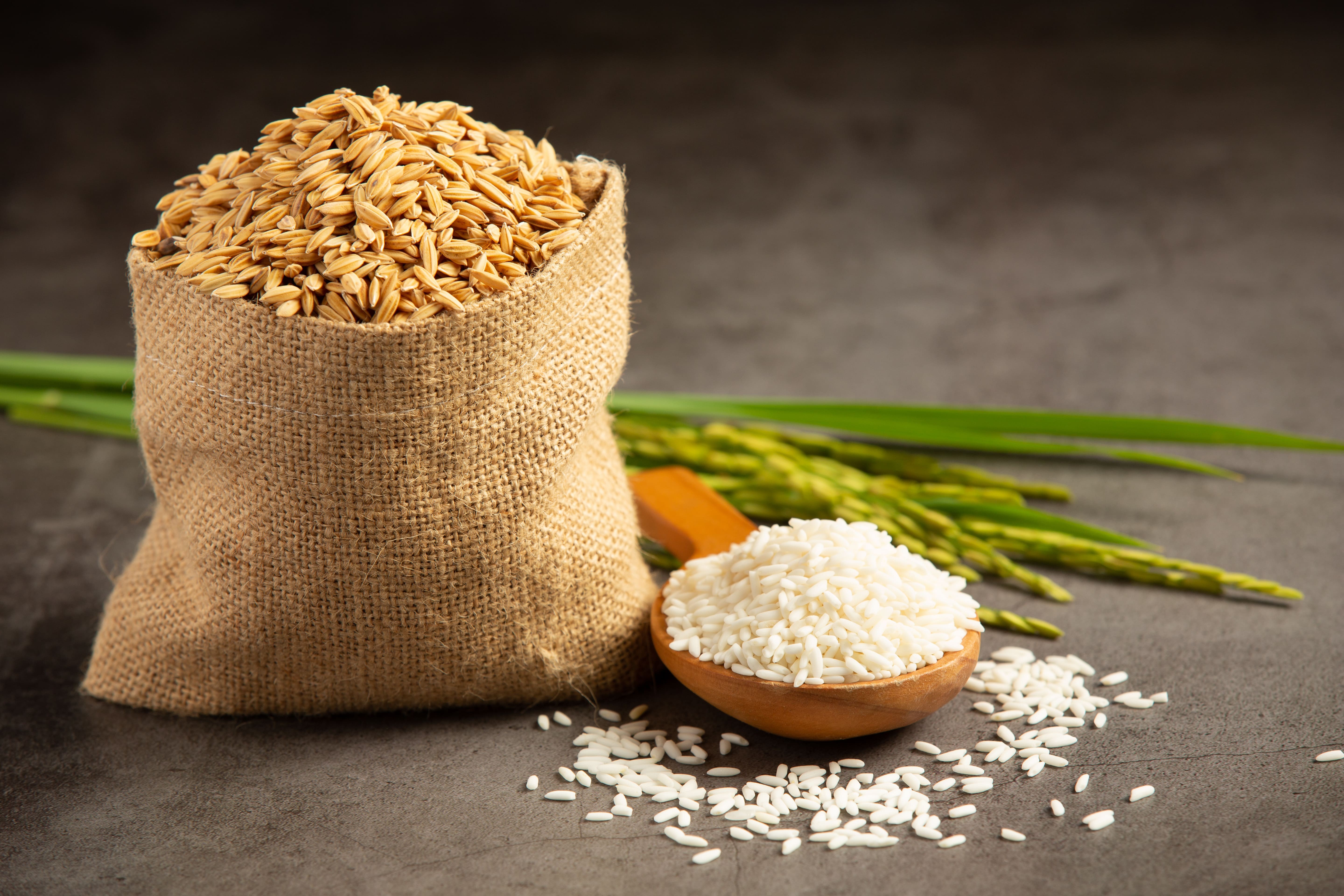 Governo avança em compras de milho e arroz para estoques públicos
