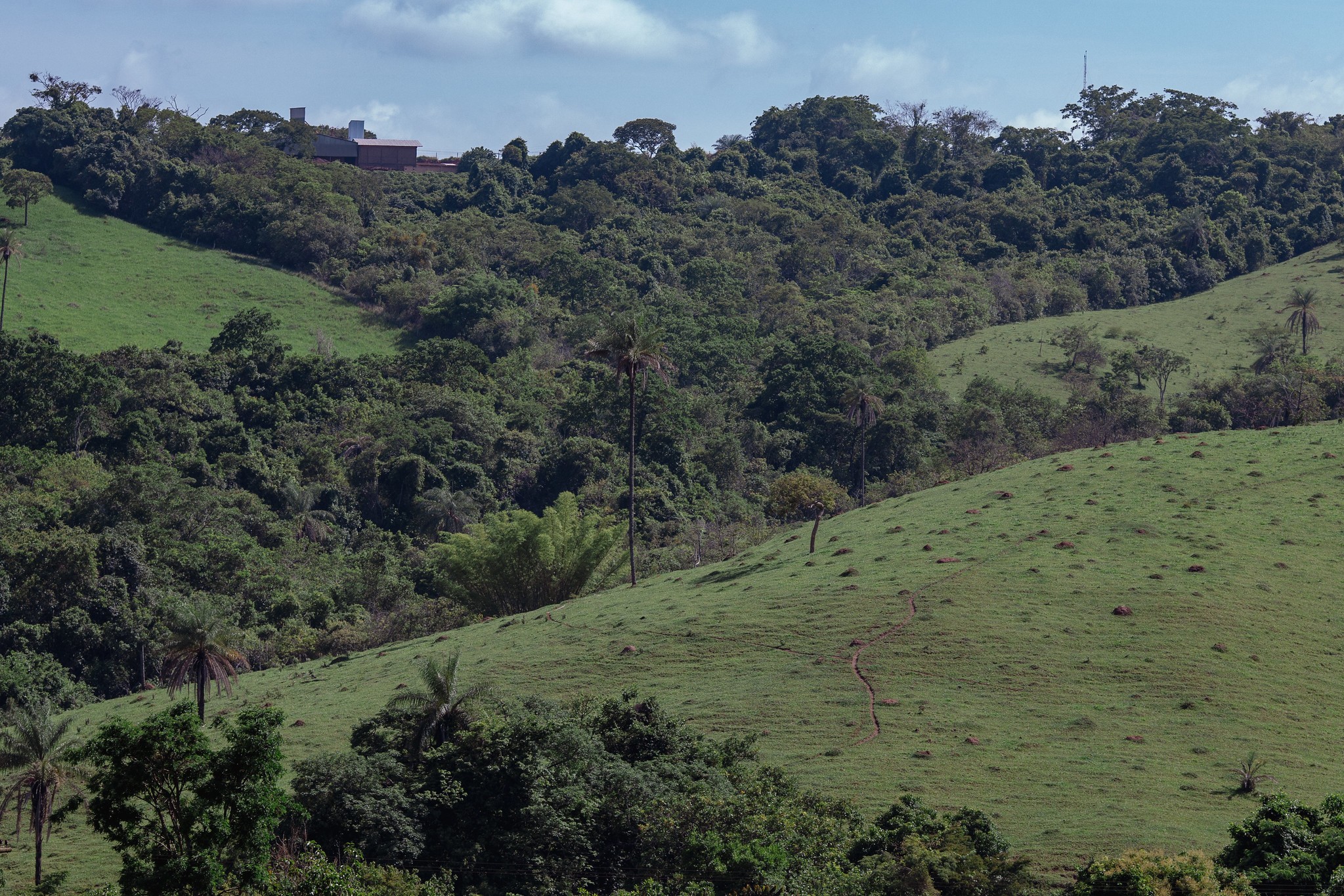 Agro defende medidas concretas para enfrentamento de mudanças climáticas na COP 31
