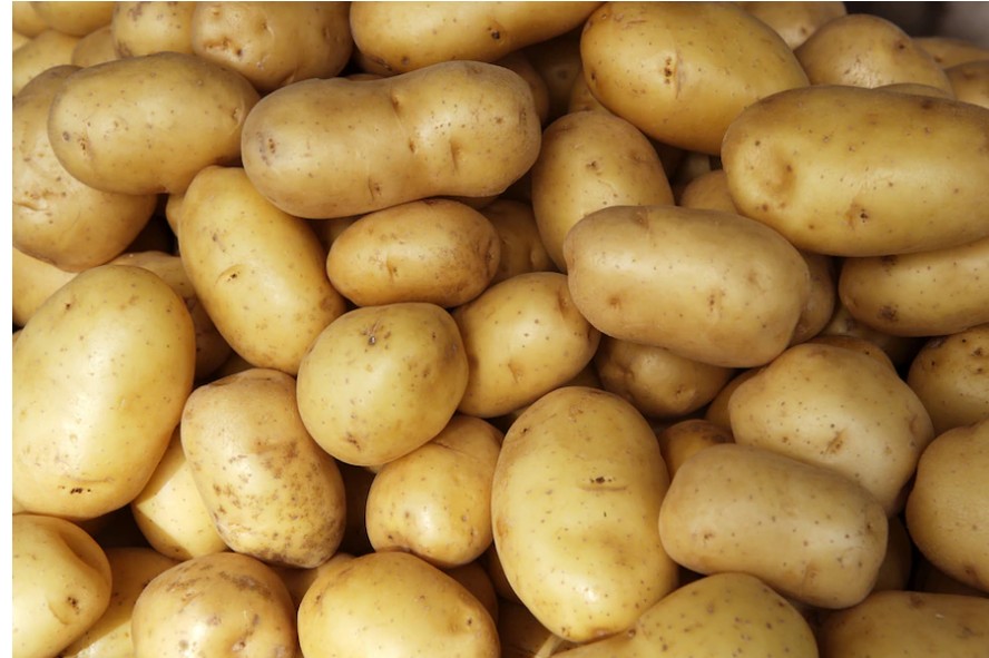 Batata É Legume Ou Verdura