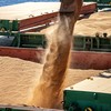 Embarques de soja devem alcançar 106 milhões de toneladas ao longo de 2025 - Claudio Neves/Portos do Paraná