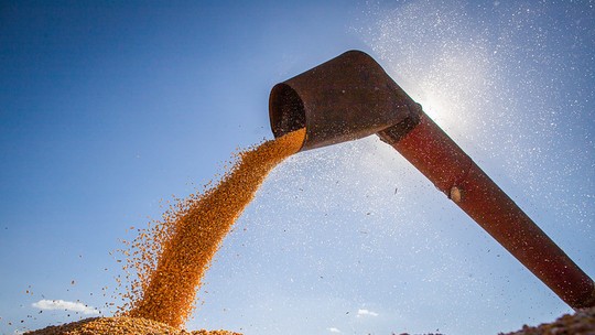 IGC reduz estimativa de produção mundial de grãos e fibras 
