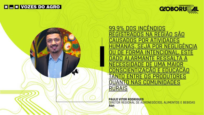 Queimadas no interior paulista: como os produtores de cana-de-açúcar podem mitigar risco