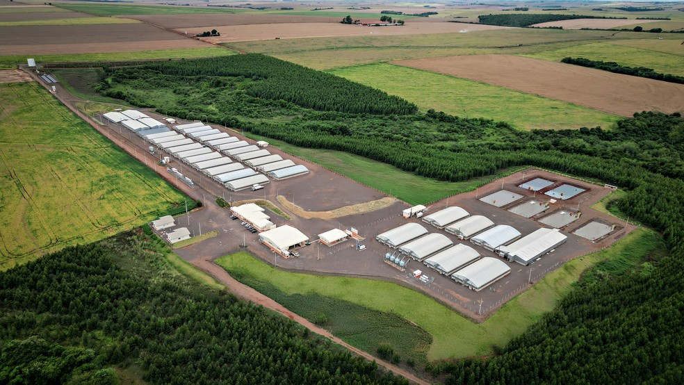 Unidade de produção de alevinos da Copacol: a cooperativa paranaense levou o sistema de integração ao cultivo de tilápias — Foto: JOSIMAR BAGATOLI/COPACOL /DIVULGAÇÃO