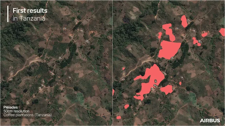 Imagens de satélite formam mapa global de plantações de café