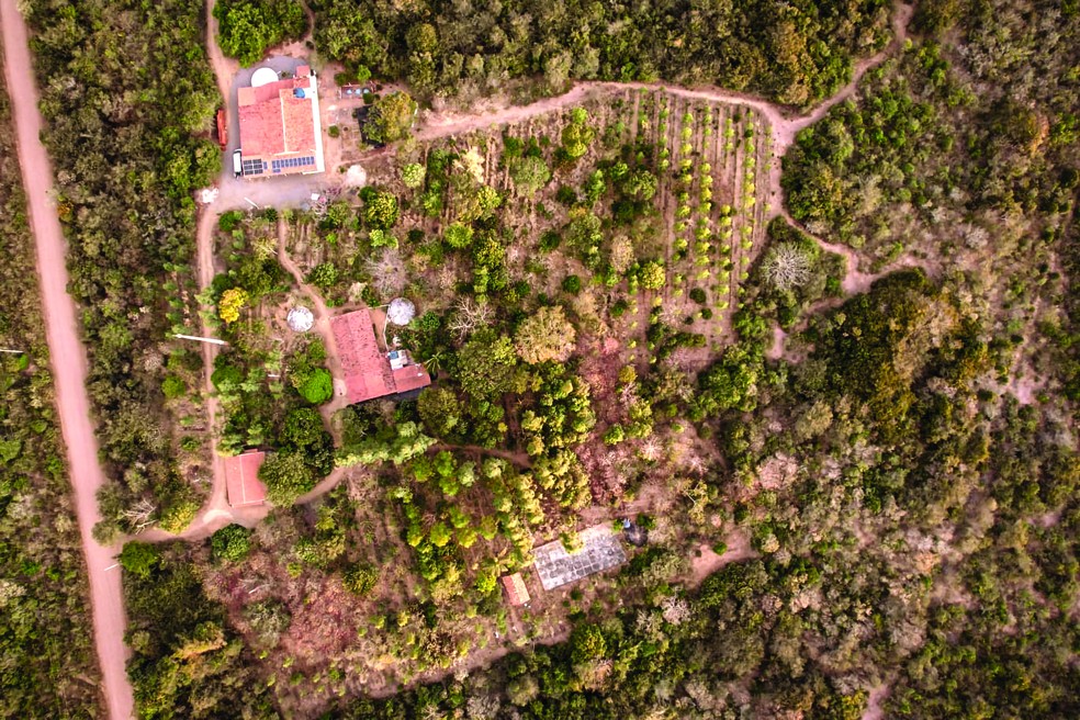 Em meio à vegetaçãoseca da Caati, a propriedade tem produção diversificada, com mais de 300 espécies vegetais — Foto: Arquivo pessoal