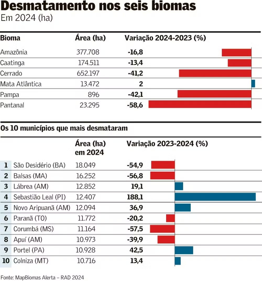 Desmate cai em todos os biomas em 2024