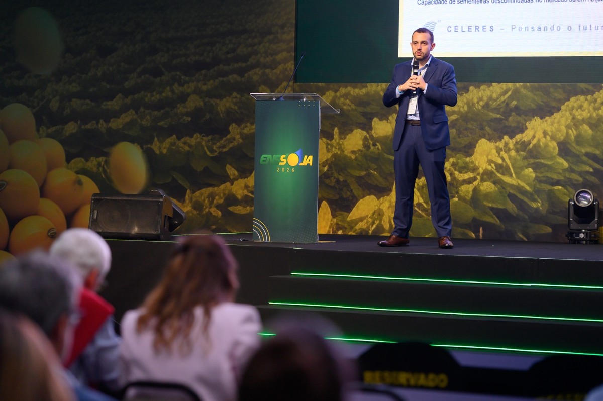 Demanda por semente certificada de soja está abaixo do potencial
