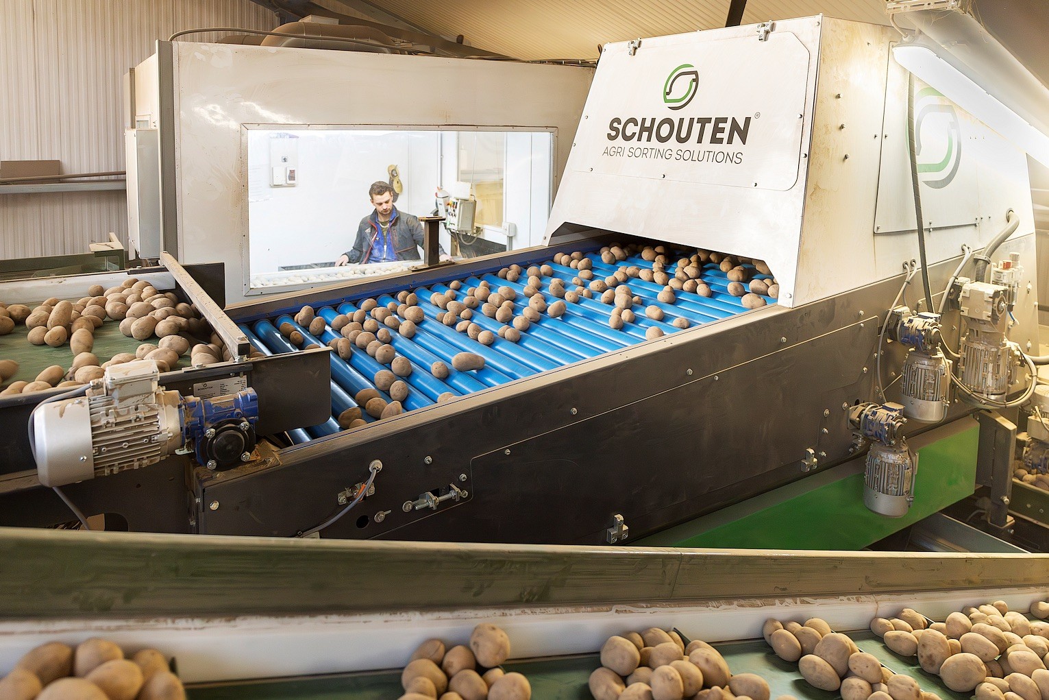 Máquina substitui até 40 pessoas na seleção de batatas e cebolas