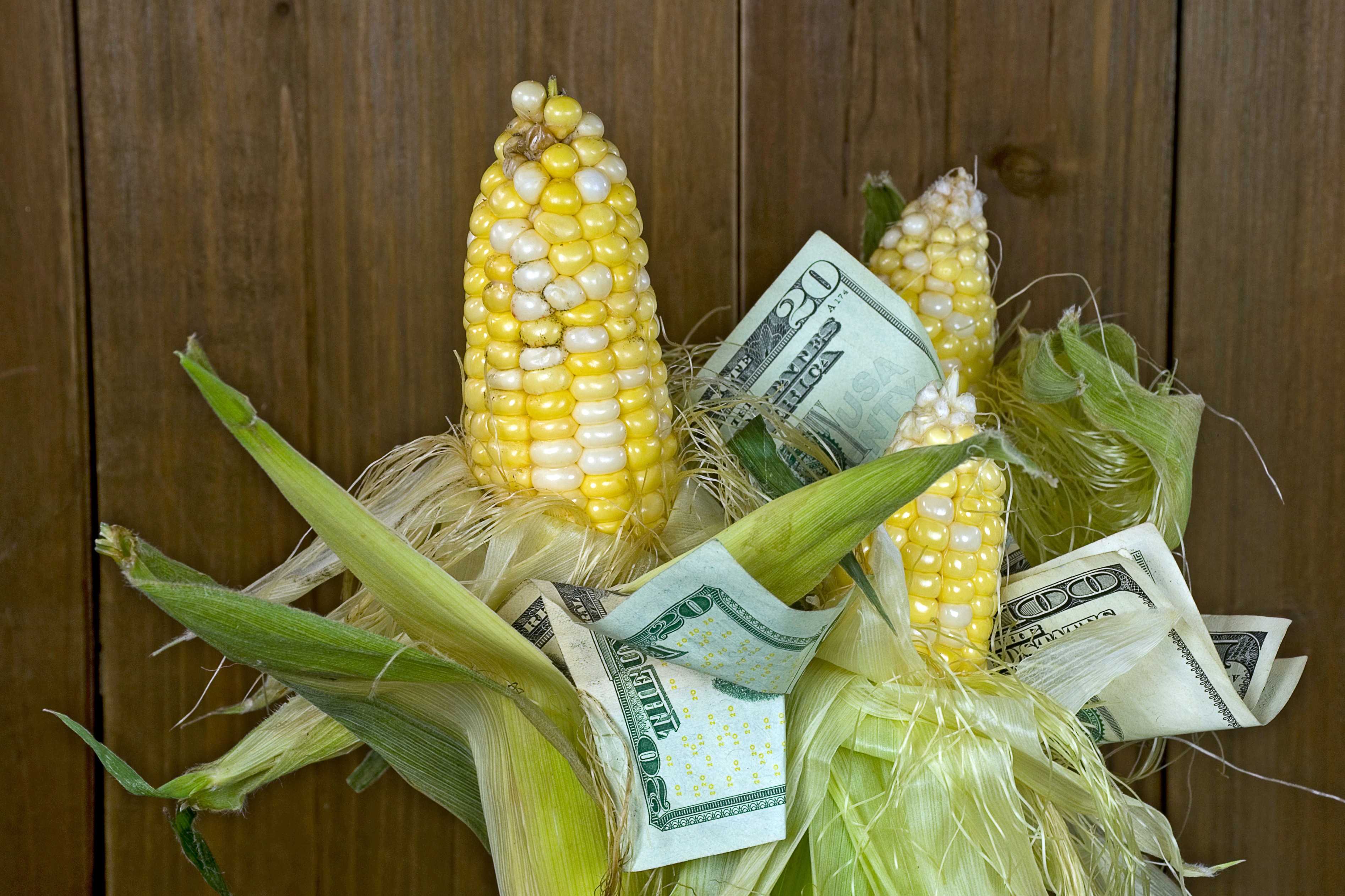 Aumento do risco do crédito rural eleva spread bancário em 2026/27