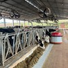 Regularidade das tarefas automatizadas melhora a previsibilidade do manejo e contribui para maior eficiência produtiva - Divulgação