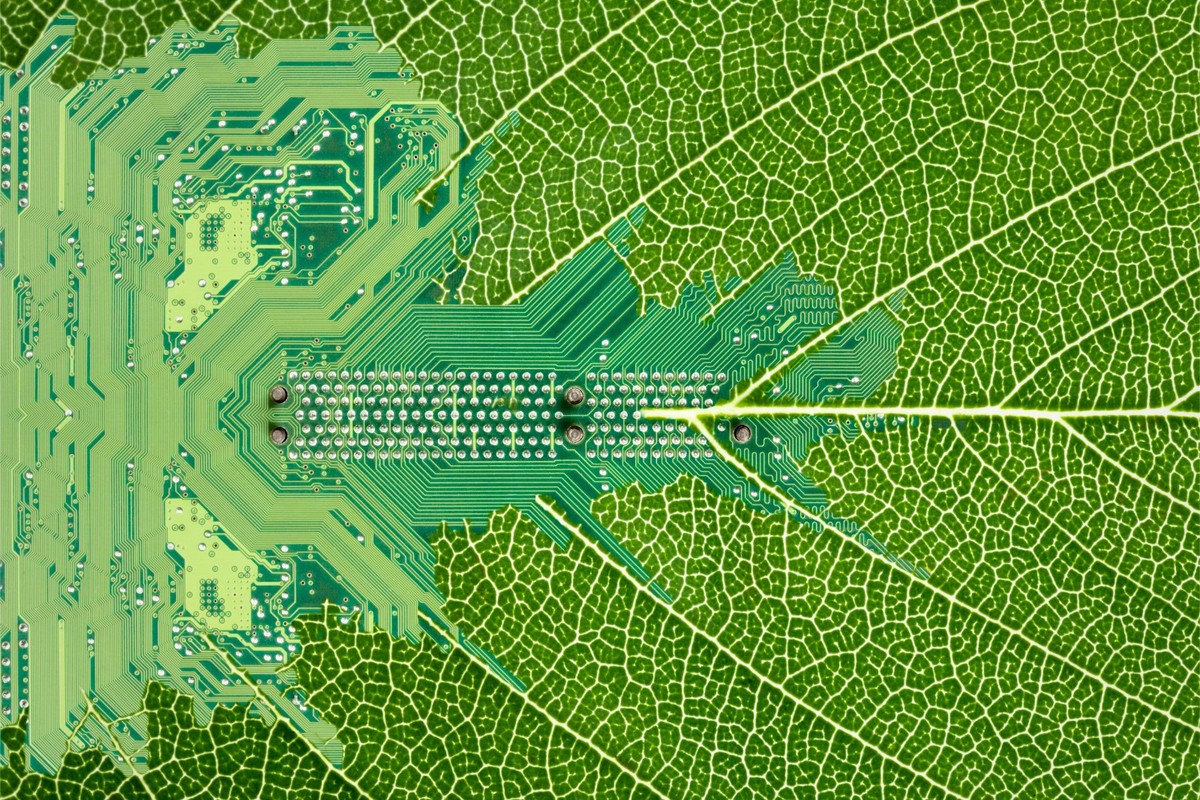 O Futuro do Agro Brasileiro: Como a Tecnologia Impulsionou o Setor e O que Esperar em Próximo