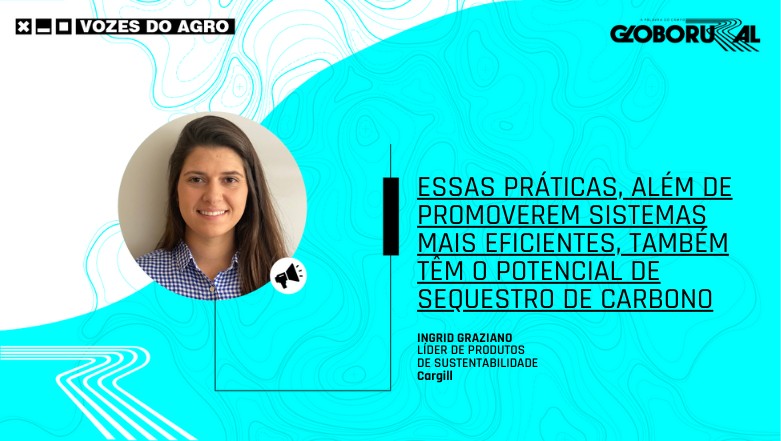 Agricultura regenerativa: recuperação de ecossistemas por meio da produção agrícola