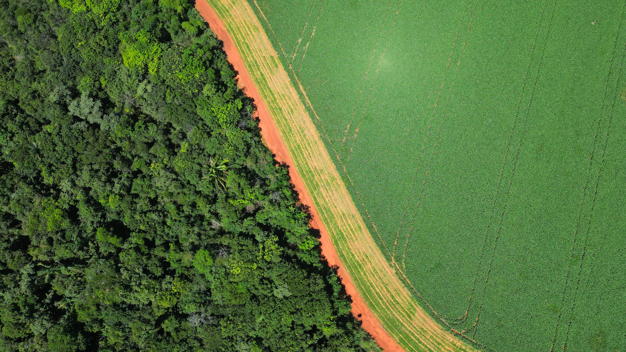 Tocantins cria fórum para promoção da agricultura sustentável