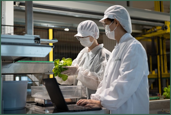 Maior fazenda vertical do mundo entra em operação em Cingapura; conheça