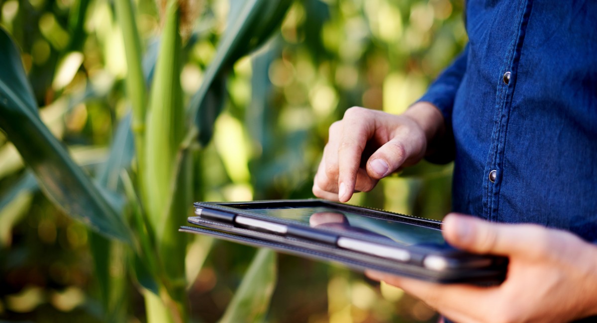 Nestlé, Ourofino e Carrefour buscam startups para desenvolver ferramentas para o agro