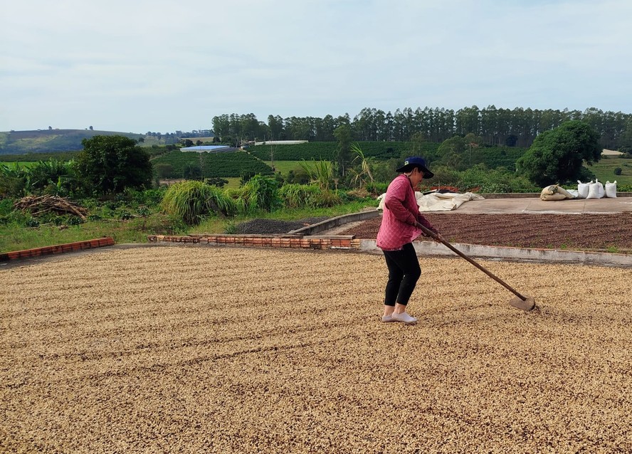 Sirlene Souza, de Pinhalão (PR), agrega valor à produção com a venda de pequenos e microlotes de cafés especiais