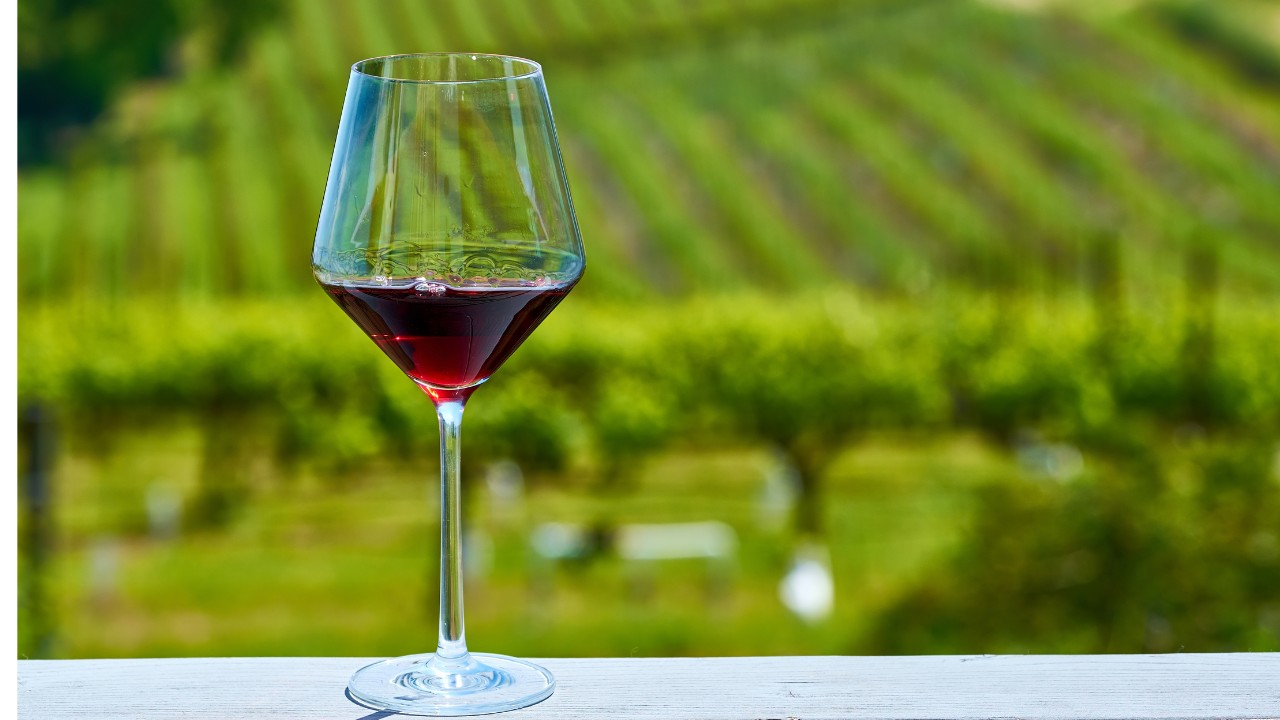 Produção de vinhos deve cair pela metade na França por clima