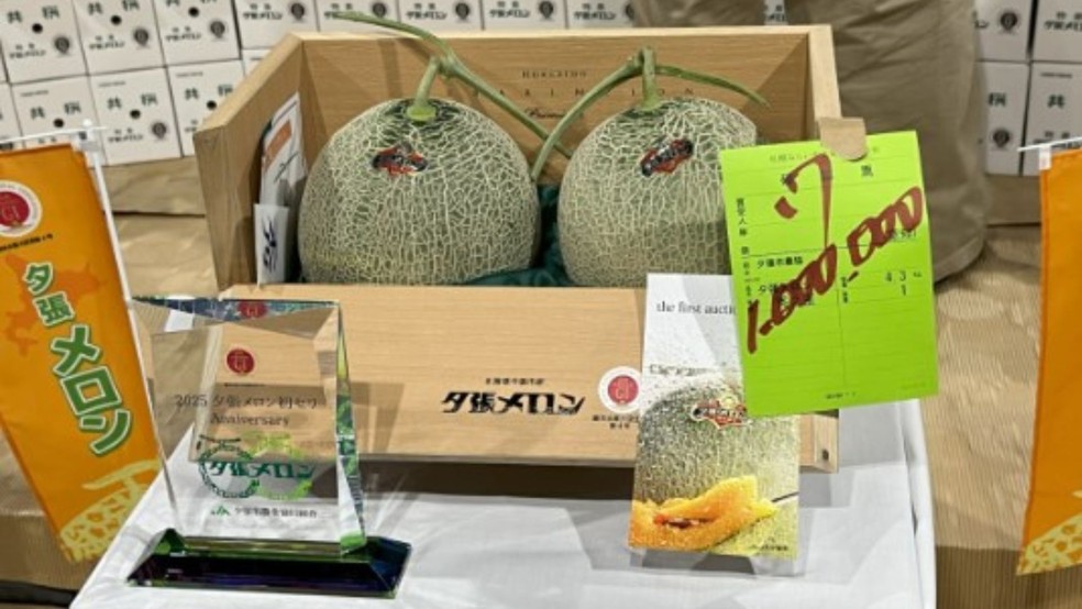 Dois melões japoneses foram vendido por mais de R$ 50 mil reais cada — Foto: Reprodução/Cooperativa Agrícola do Japão