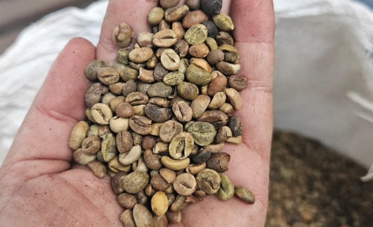 Operação apreende e destrói mais de duas toneladas de café no Rio de Janeiro