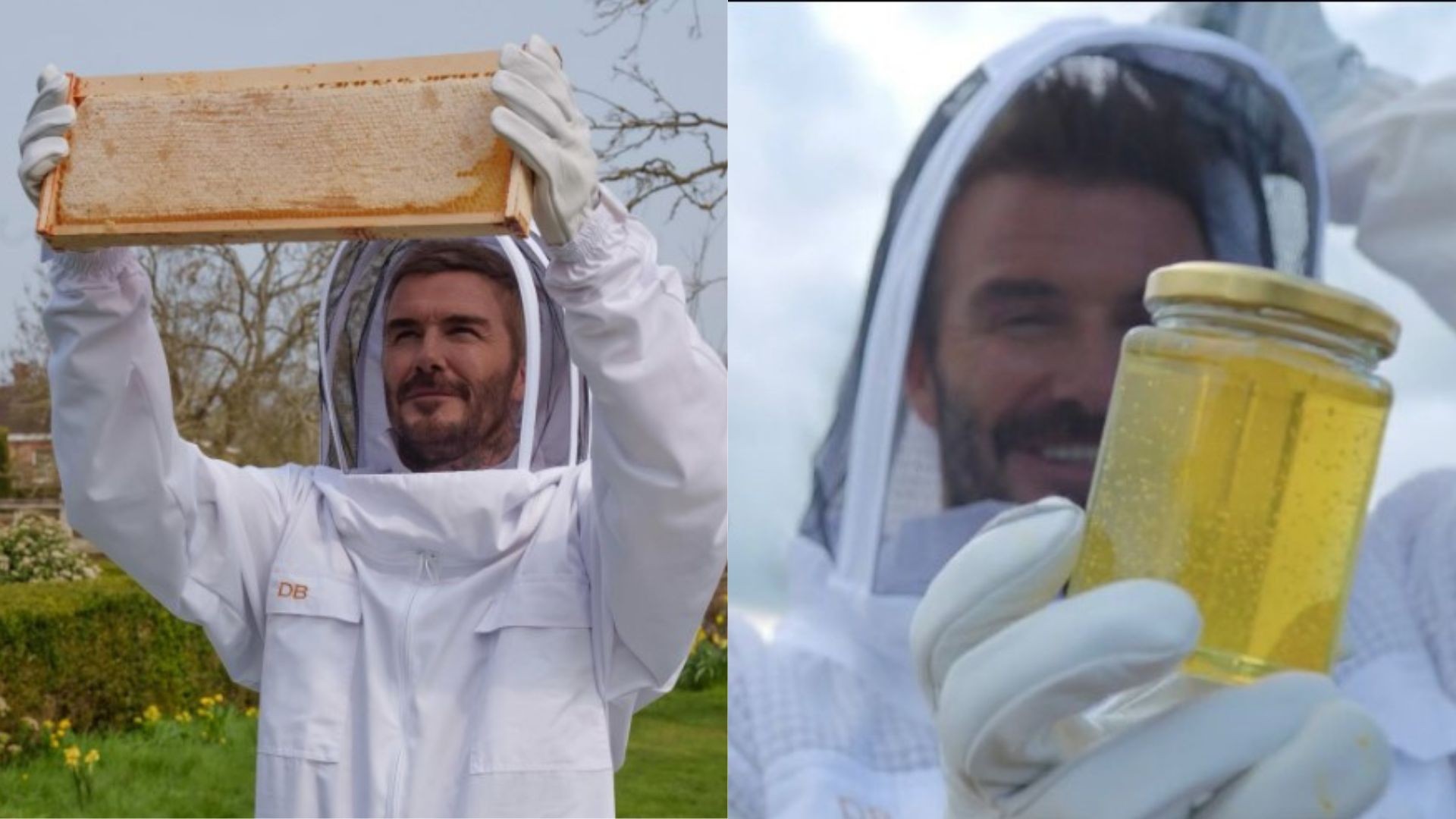 Produtor de mel, Beckham celebra Dia Mundial das Abelhas: 'Estaria perdido sem elas'