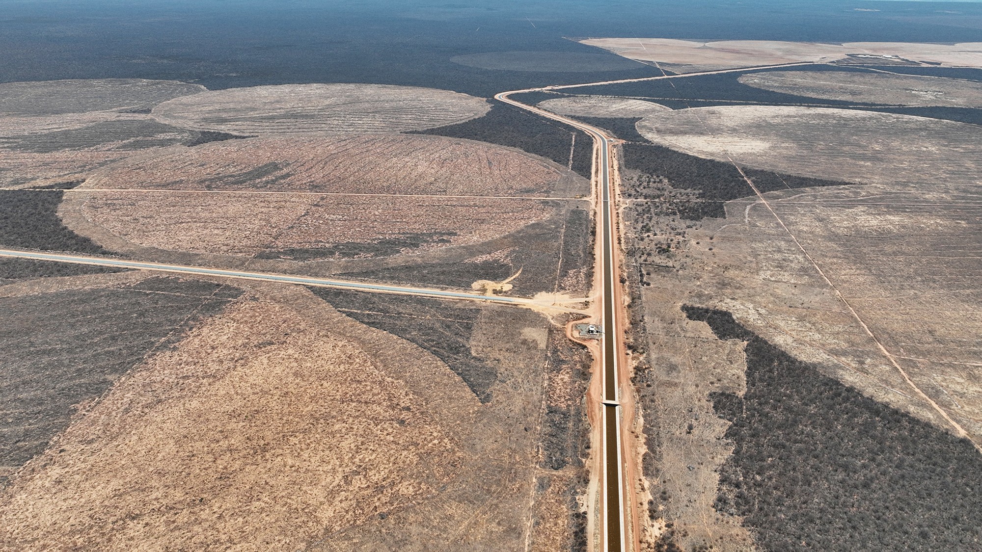 ACP Bioenergia dá primeiro passo em cultivo de grãos e algodão na Caatinga