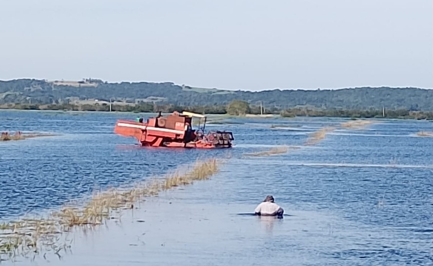 Lavoura de arroz alagada no município de Viamão. Crédito extraordinário de ajuda ao Rio Grande do Sul prevê equalização de juros no crédito rural