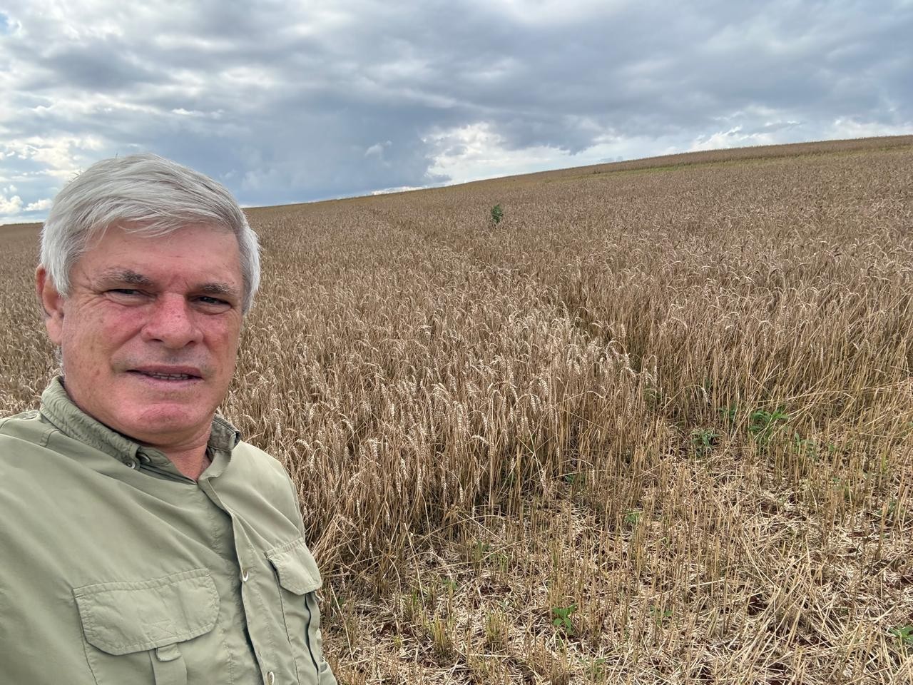 Chuvas no Paraná aumentam custos de produção e geram prejuízos no campo - Foto