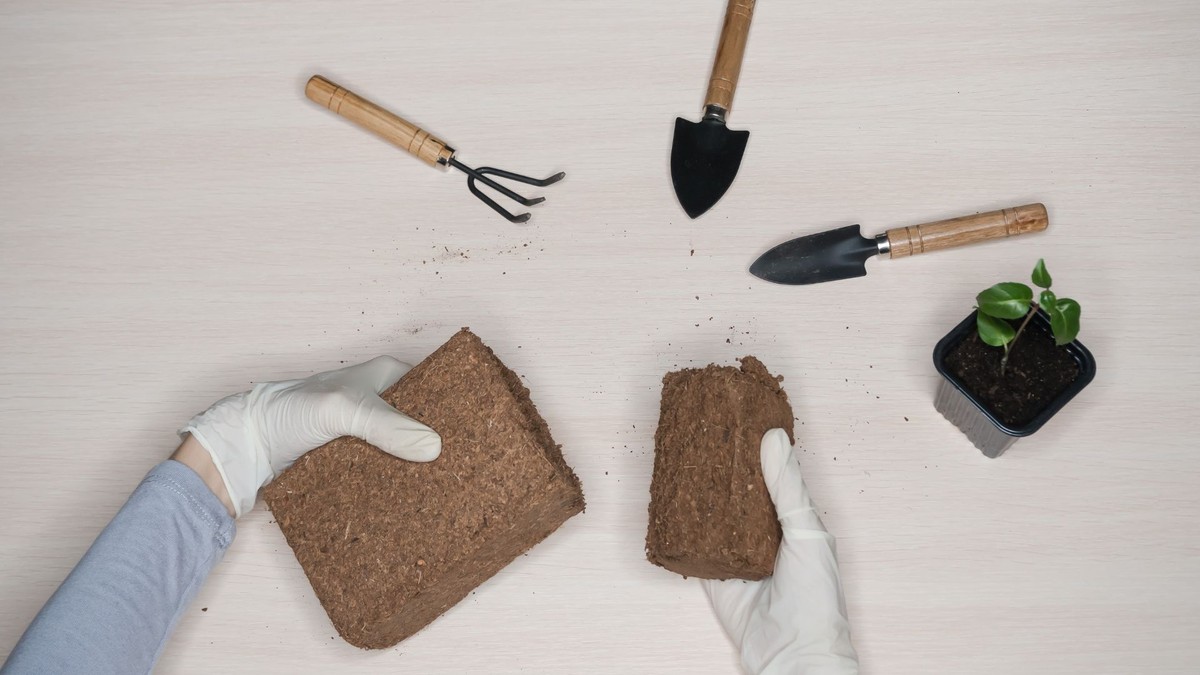 Tijolo de coco: benefícios e como usar