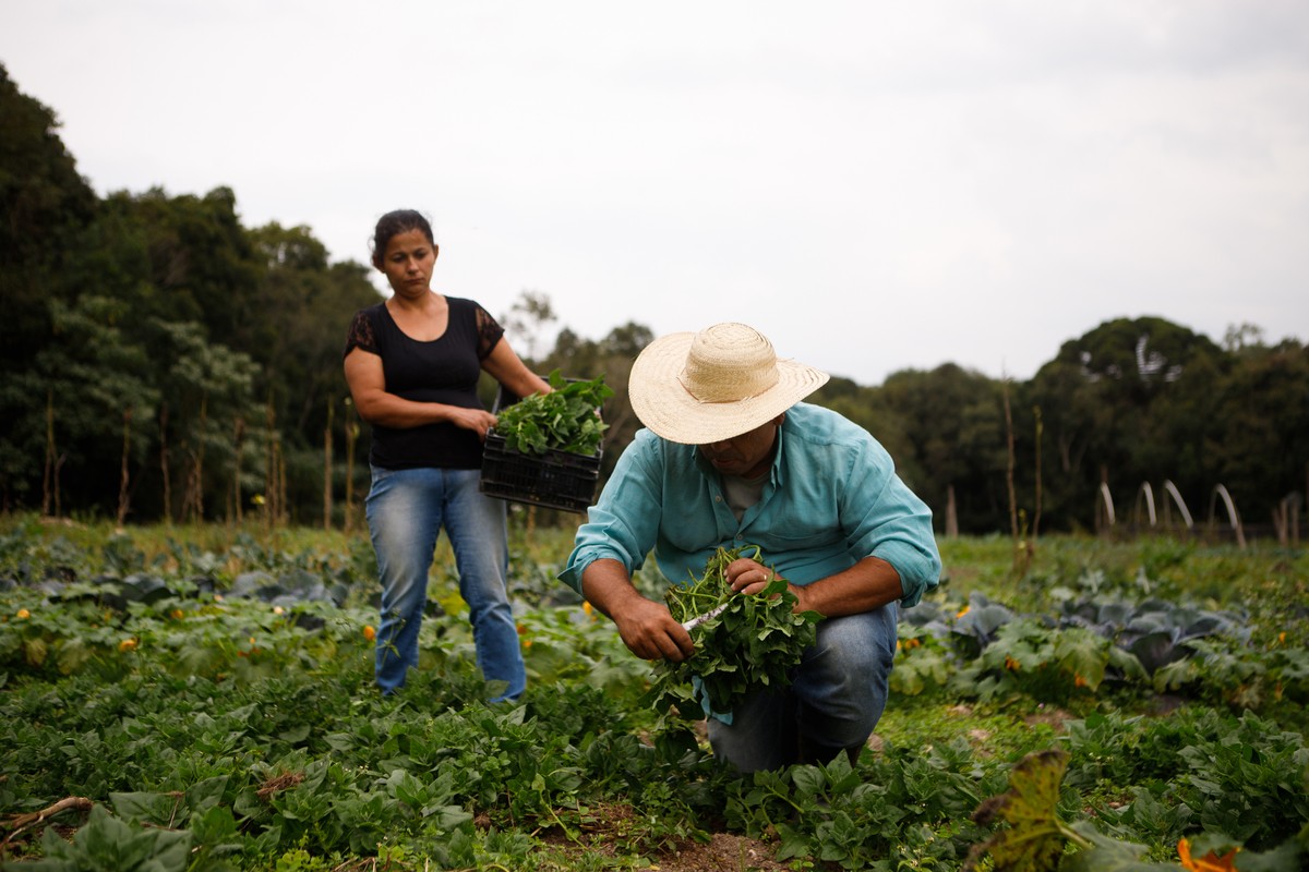 Crédito rural que impulsiona o desenvolvimento no campo