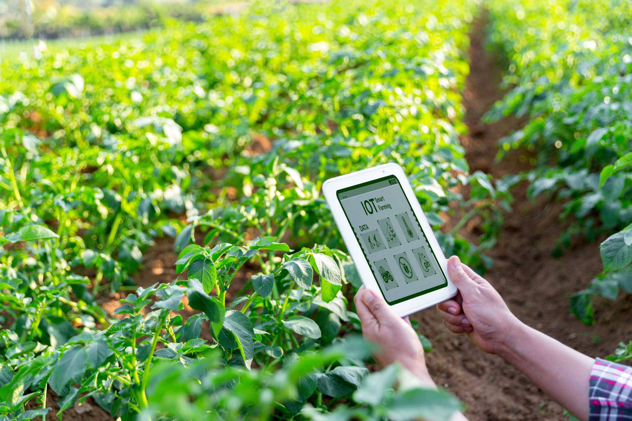 Tecnologia revoluciona o agro e proporciona salto em eficiência e sustentabilidade