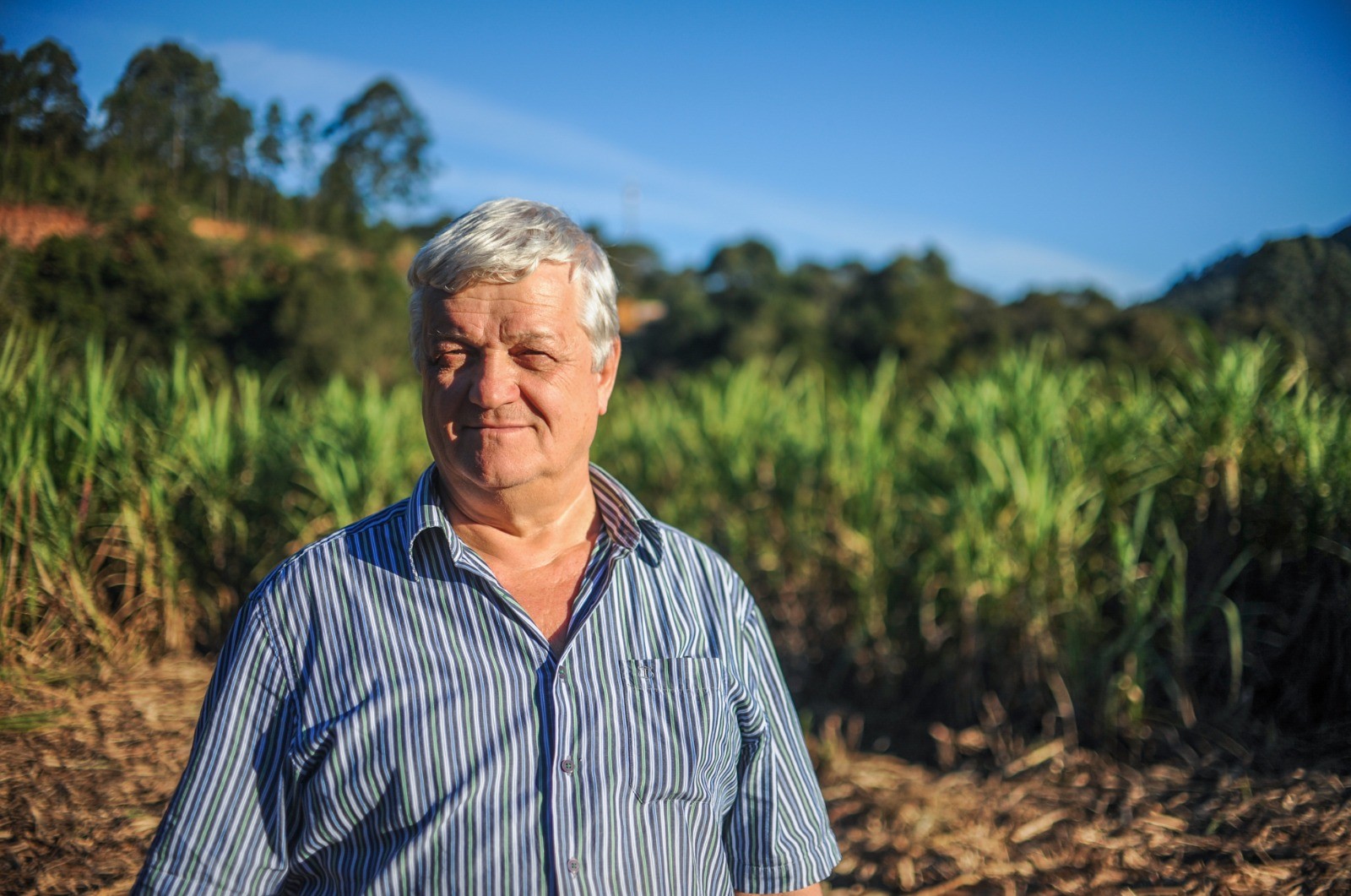 Vinagre de caldo de cana: conheça produto exclusivo de empresa do RS