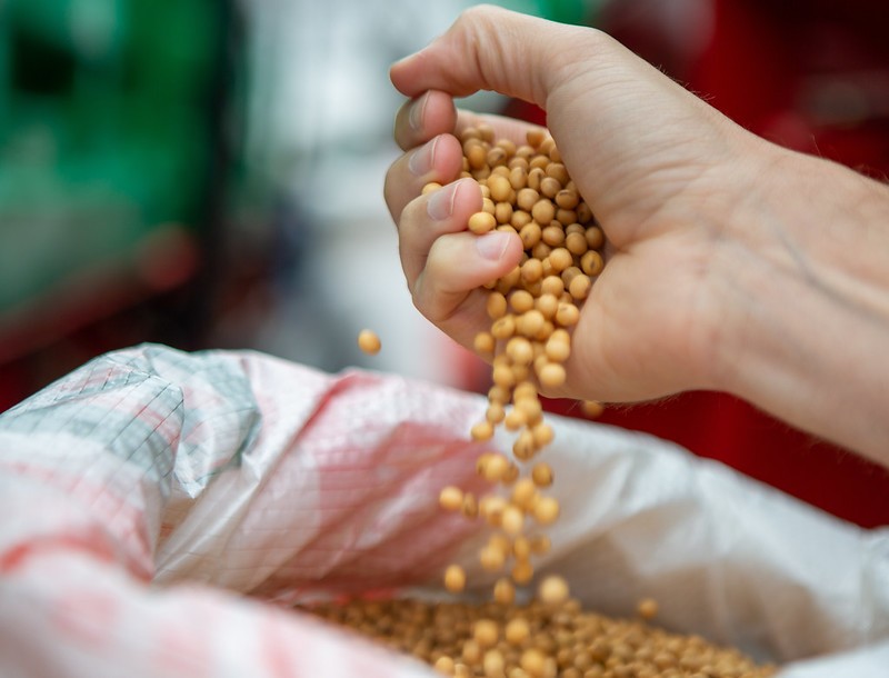 Vendas de soja no Brasil alcançam 31% da produção esperada para 2023/24