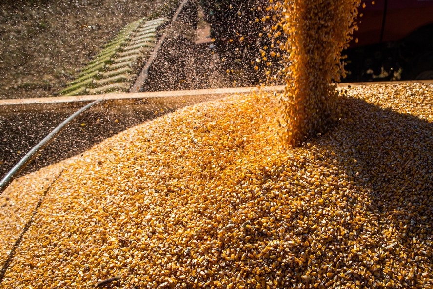 O contrato de milho mais ativo caiu 1,50 centavo para 6,8075 dólares por bushel