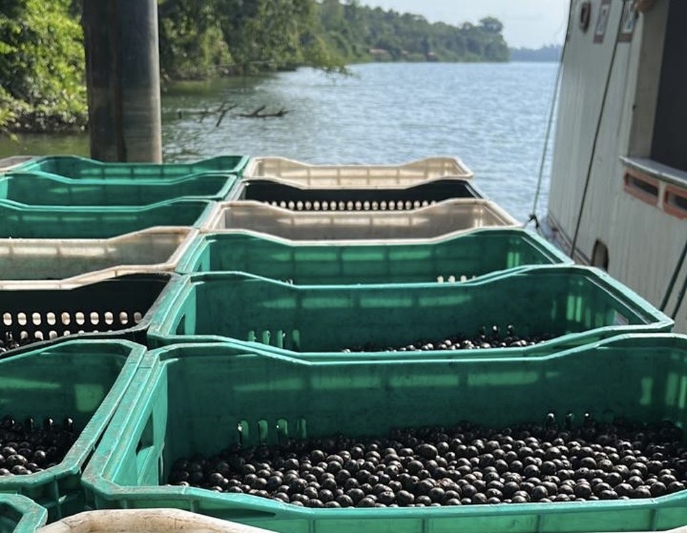 Casal também compra frutas de outros produtores  — Foto: Divulgação
